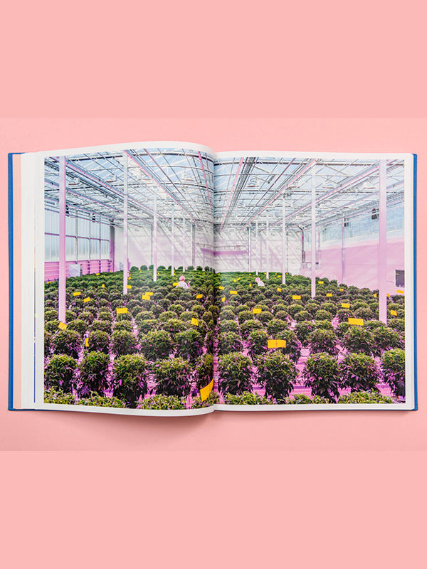 Unintended Beauty By Alastair Philip Wiper-[-Alastair Philip Wiper-5