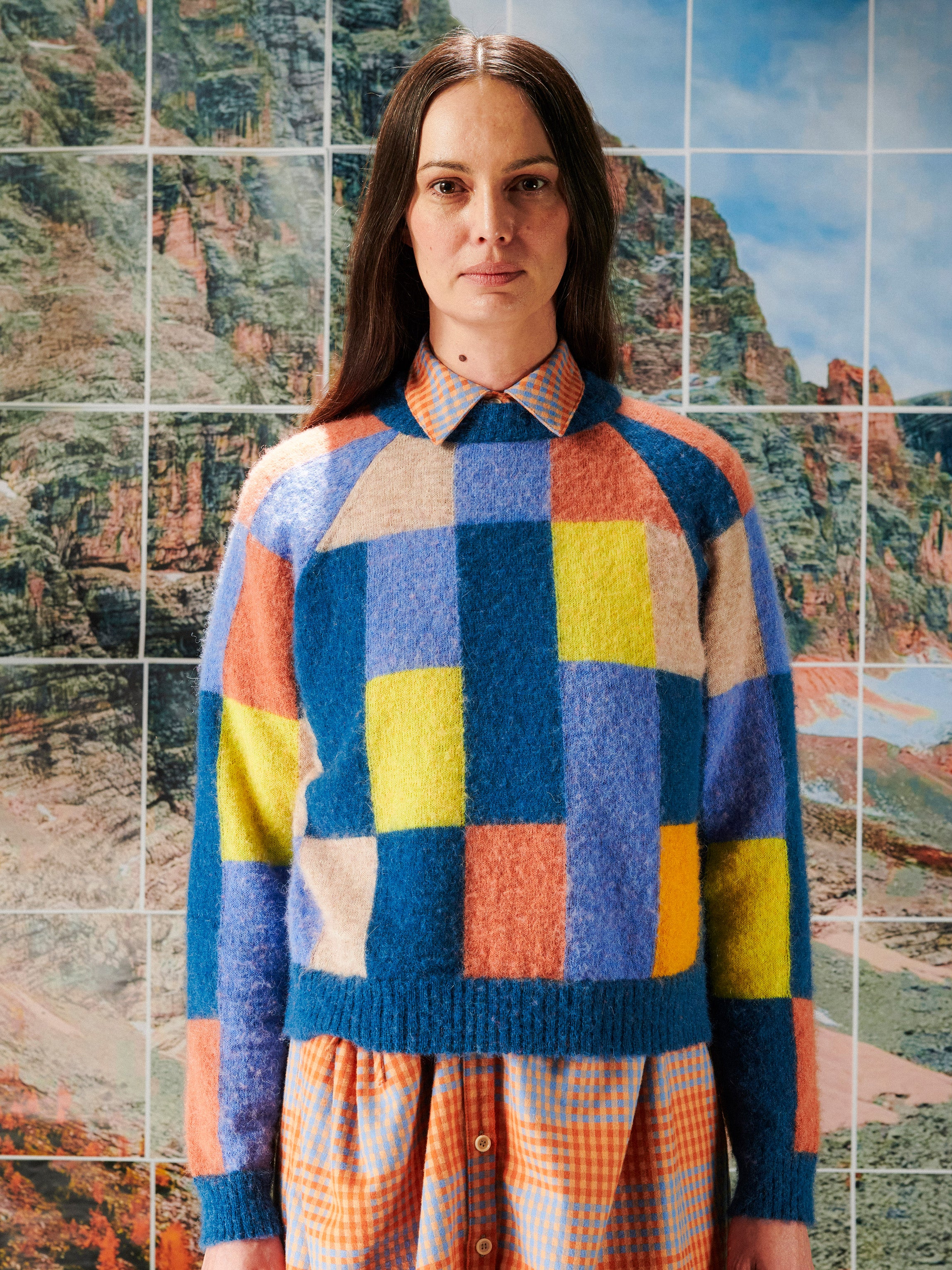 Person wearing a colorful checkered sweater in front of a tile wall with natural scenery